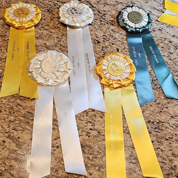 5 Vintage original 1965 1966 Horse Show Rosettes Fort Sumner NM ribbons winners - Picture 2 of 16